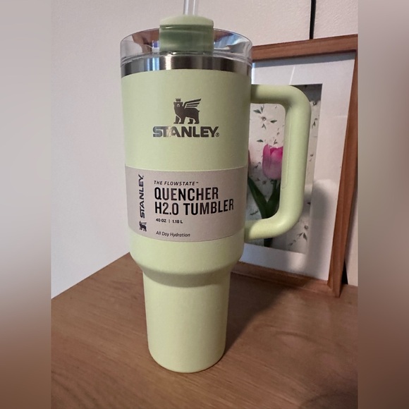 Pale Lime Stanley - Picture 1 of 5